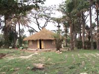 Africa Orgaincs top picture 1