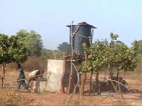 Africa Orgaincs top picture 2