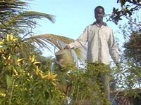 Africa Orgaincs top picture 2