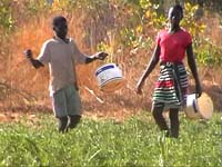 Africa Orgaincs top picture 3