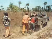 Africa Orgaincs bottom picture 1