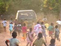 Africa Orgaincs bottom picture 4